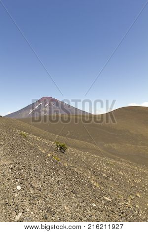 Lonquimay Volcano, In Bio Bio Region, Chile