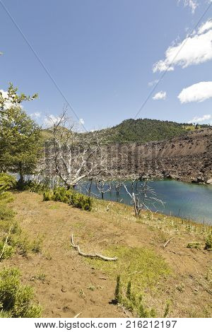 Lonquimay Volcano, In Bio Bio Region, Chile