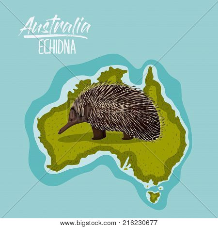 poster echidna in australia map in green surrounded by the ocean vector illustration