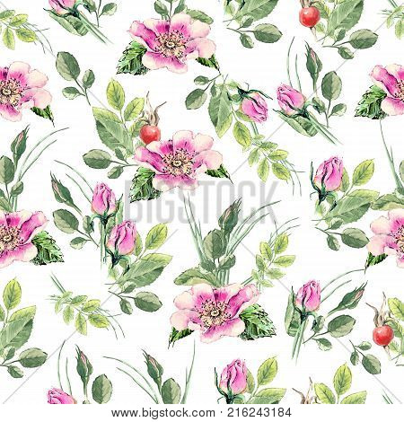 Seamless pattern with hand drawn watwrcolor eglantine