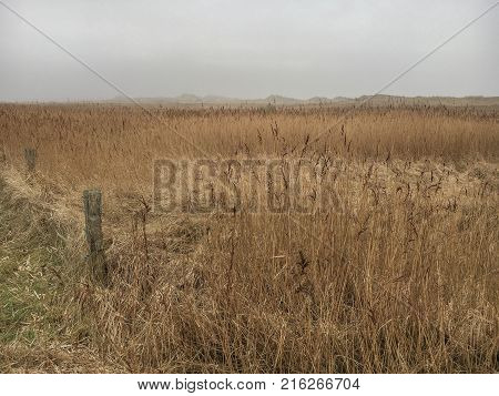 Dunes In St. Peter-ording On A Cloudy Winter Day