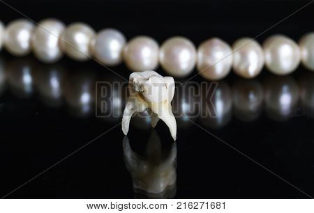 bad rotten tooth pulled and stands opposite the offices of the mirrors and dazzling white pearls on a black isolated background