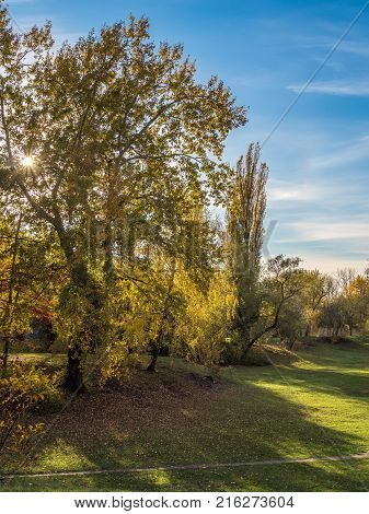 A walk through the sunny park raises mood and well-being.