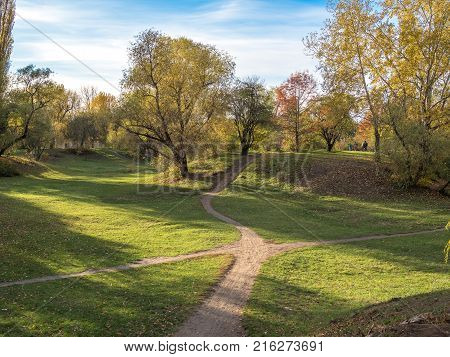 A walk through the sunny park raises mood and well-being.