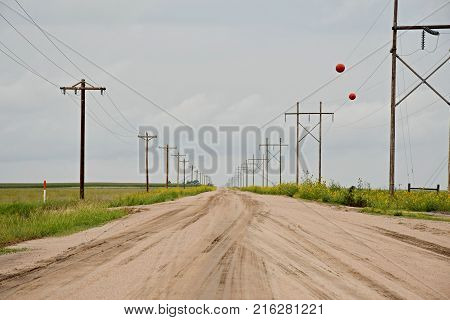 Country dirt road with telephone and power poles on both sides