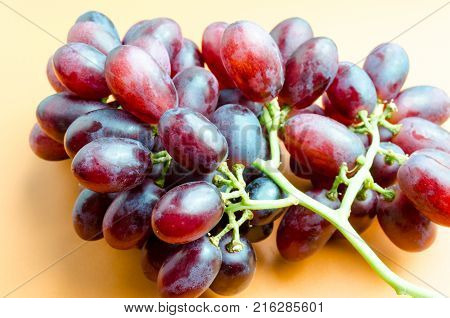 Crimson Seedless Grapes Vitis Vinifera Studio Photograph