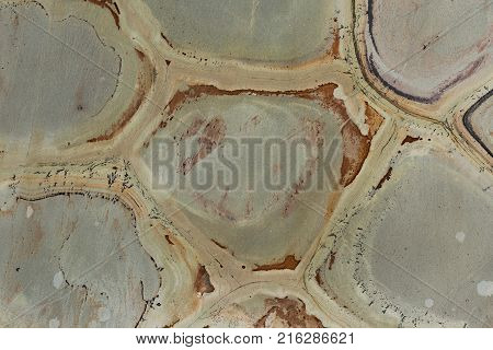 Quartzite tiles design, floor tiles gesign. High resolition photo.
