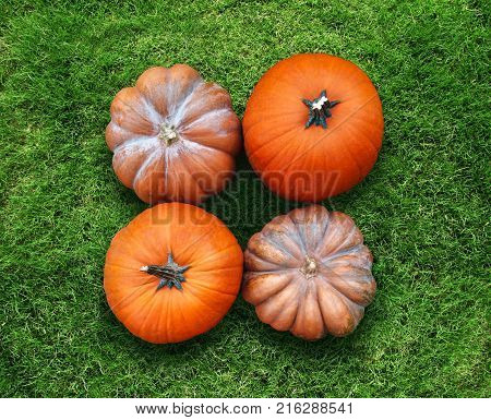 Four orange harvested pumpkins are lying flat on green grass in a square leyout. We look from high angle view.