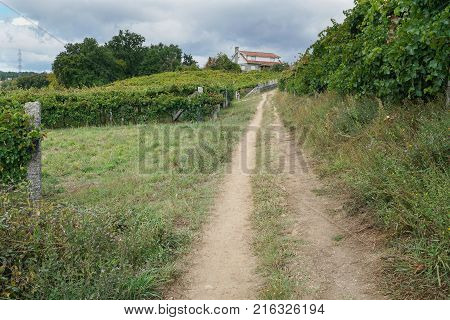 Pilgrim trail between Pontevedra and Caldas de Reis on the Camino de Santiago trail, Galicia, Spain