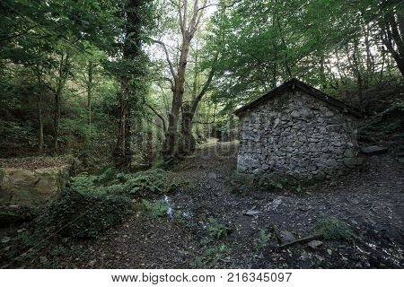 Landscape of one of the abandoned water mills of the Oneta Cascades forest in Asturias, Spain.