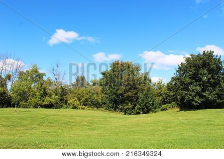 Gently rolling hills with trees and a bright blue sky with white clouds