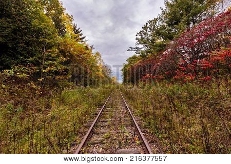 An old overgrown abandoned bygone railway track in Hudson Quebec Canada, surrounded by a blaze of fall colors.