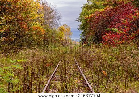 An old overgrown abandoned bygone railway track in Hudson Quebec Canada, surrounded by a blaze of fall colors.