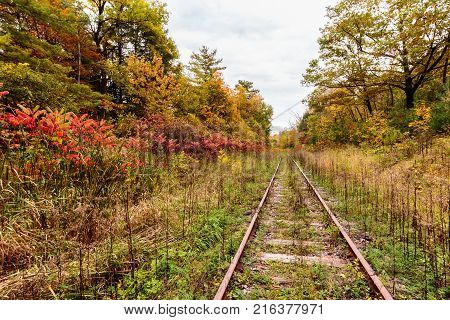 An old overgrown abandoned bygone railway track in Hudson Quebec Canada, surrounded by a blaze of fall colors.