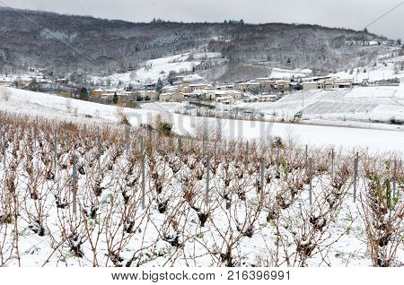 A vineyard parcel of Beaujolais surmounted by a village under snow France