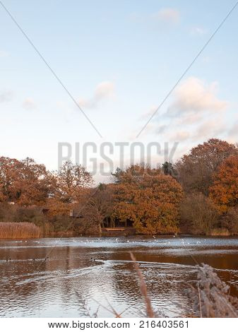 Stream Estuary Running Through Countryside Autumn Alresford Creek Church