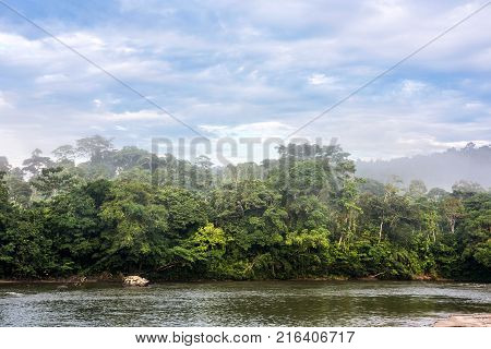 Amazonian rainforest. Misahualli River. Napo province Ecuador