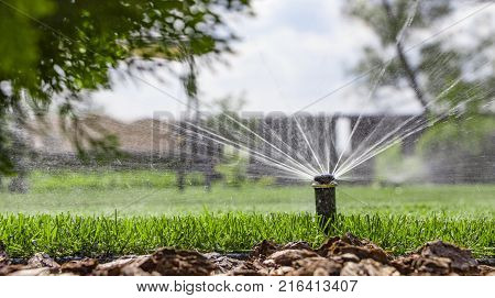 automatic sprinkler system watering the lawn on a background of green grass, close-up