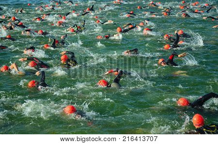 GRAFHAM, CAMBRIDGESHIRE, ENGLAND - AUGUST 06, 2017:  Competitors in the water starting the swimming stage of triathlon,
