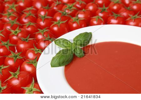 Soupe de tomates fraîches