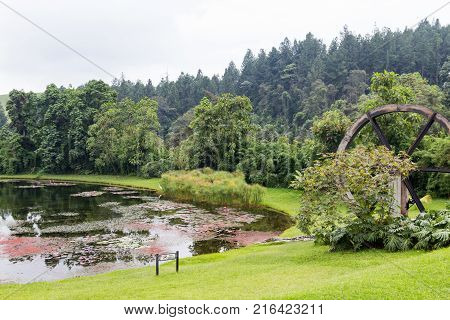 Verdant Pond At The Recinto Del Pensamiento Nature Reserve Near Manizales Colombia.