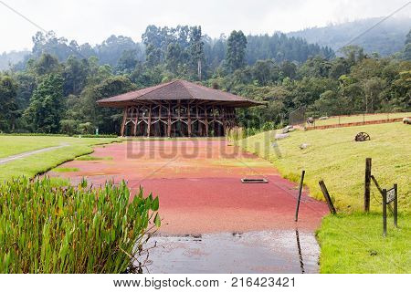 A Natural Pond At The Recinto Del Pensamiento Nature Reserve Near Manizales Colombia.