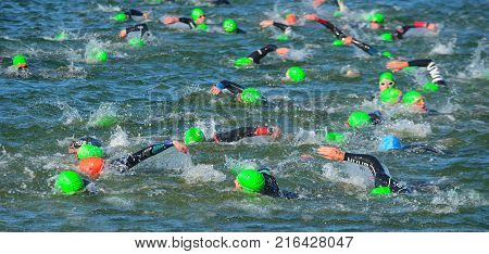 GRAFHAM, CAMBRIDGESHIRE, ENGLAND - MAY 21, 2017:  Competitors swimming in at the end of the swimming stage at the beginning of Triathlon.
