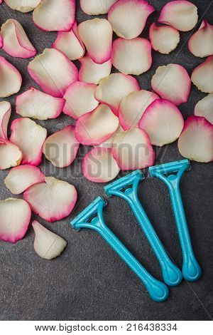 Close-up of three blue disposable razors lie near pink rose petals, on a gray background. Depilation.