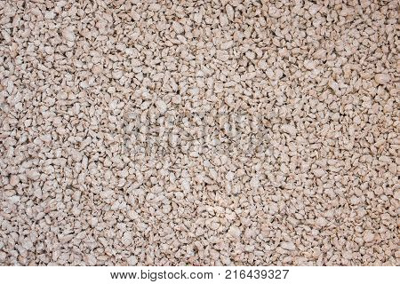 Toilets For Pets Wood Filler Used In Cat Litter.