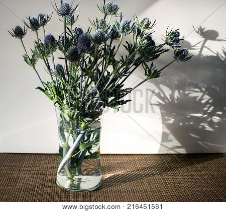 Unusual blue fowers in glass against white background.