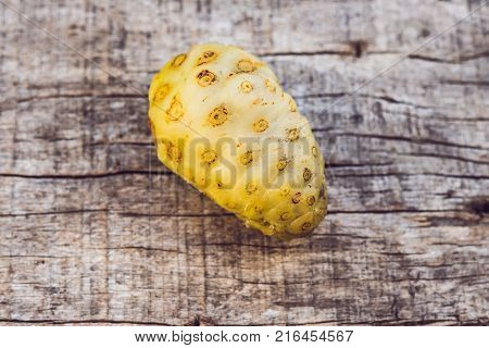 Unusual Asian Edible Plant. Porous Inside. Vietnamese Lulis Eat