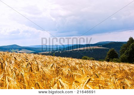 Sommer