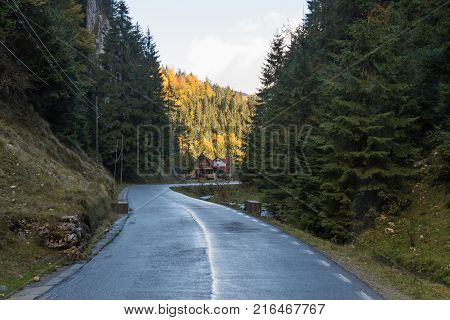 The road passing in the gorge at the foot of the Carpathian Mountains near the town of Bran in Romania