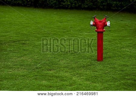 Red fire hydrant on green lawn with copy space at the left side. Concept of safety against fire
