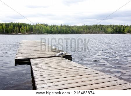Beautiful Lake In The National Park Repovesi, Finland, South Karelia.