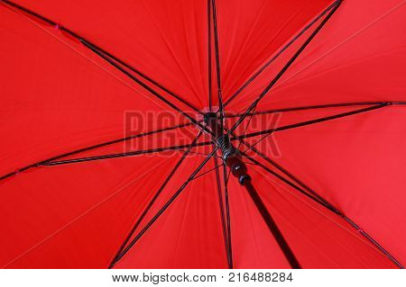 Close up red colorful vivid umbrella personal perspective low angle view