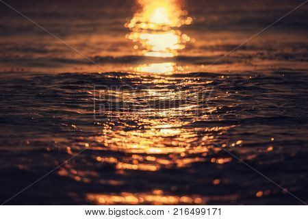 Sea Wave Close Up, Low Angle View, Sunrsie Shot