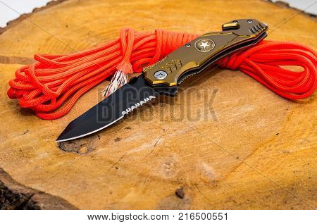 Folding knife with stap cut and cullet.