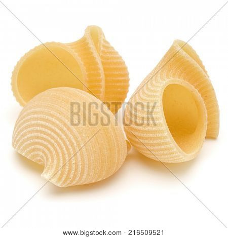 Italian lumaconi isolated on white background. Lumache, snailshell shaped pasta.