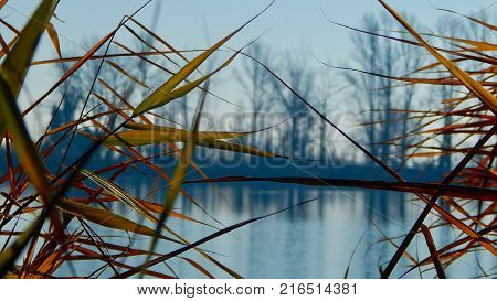 Beautiful lake view. Nature background with leaves and trees in autumn