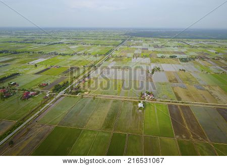 Aerial View Of Mount Baling, With Padding Field View Before Sunrise.