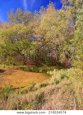 Lake La Grange of the Kettle Moraine State Forest in Wisconsin