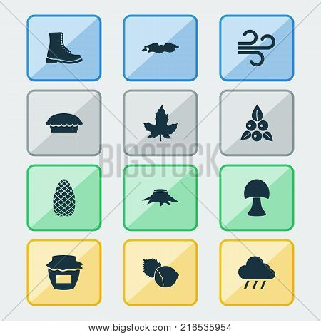 Autumn icons set with weather, shoe, cedar and other weather elements. Isolated vector illustration autumn icons.