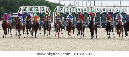 Horse Racing.