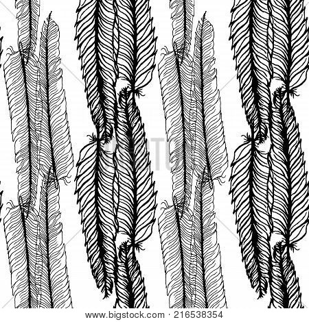 Seamless pattern with feathers on a white background