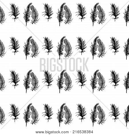 Seamless pattern with feathers on a white background