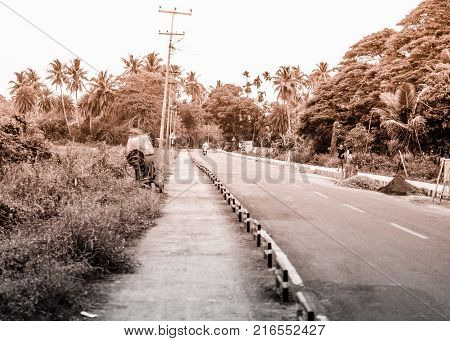 Road with woods on both Sides vintage look