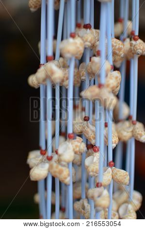 Art Work and Craft Made From Sea Shells