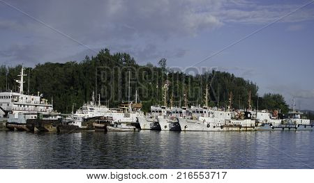 Ships resting at the Harbor or Port