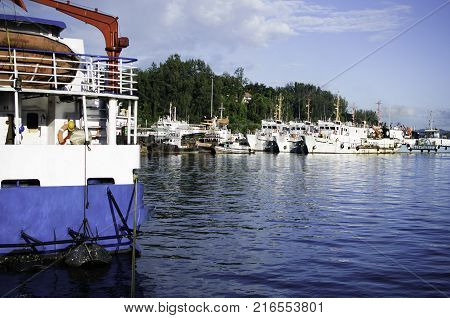 Ships resting at the Harbor or Port